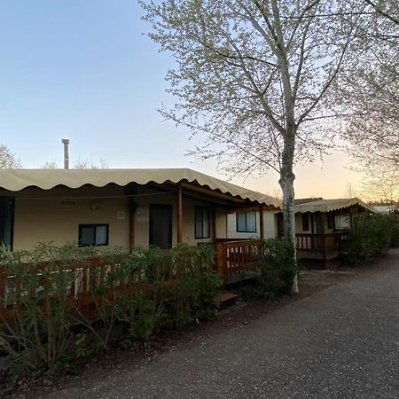 Zona Rosa 5 Chalet Mit Klimaanlage Und Wlan فياريجيو المظهر الخارجي الصورة